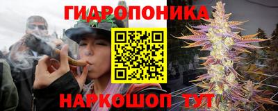 СК Севастополь