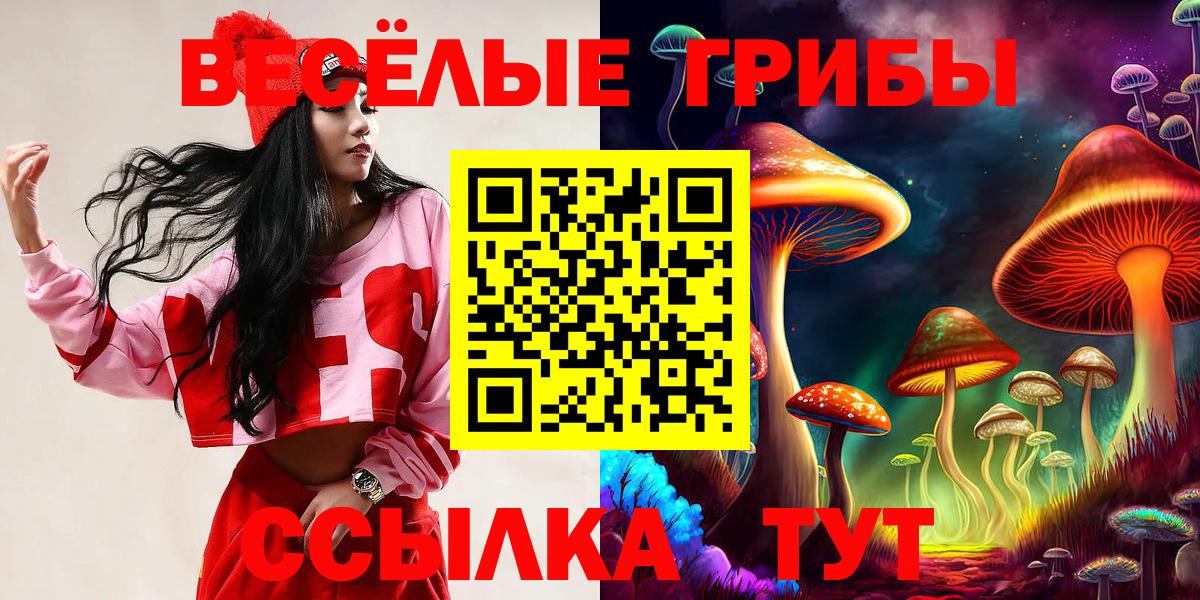 Галлюциногенные грибы мицелий Отрадный