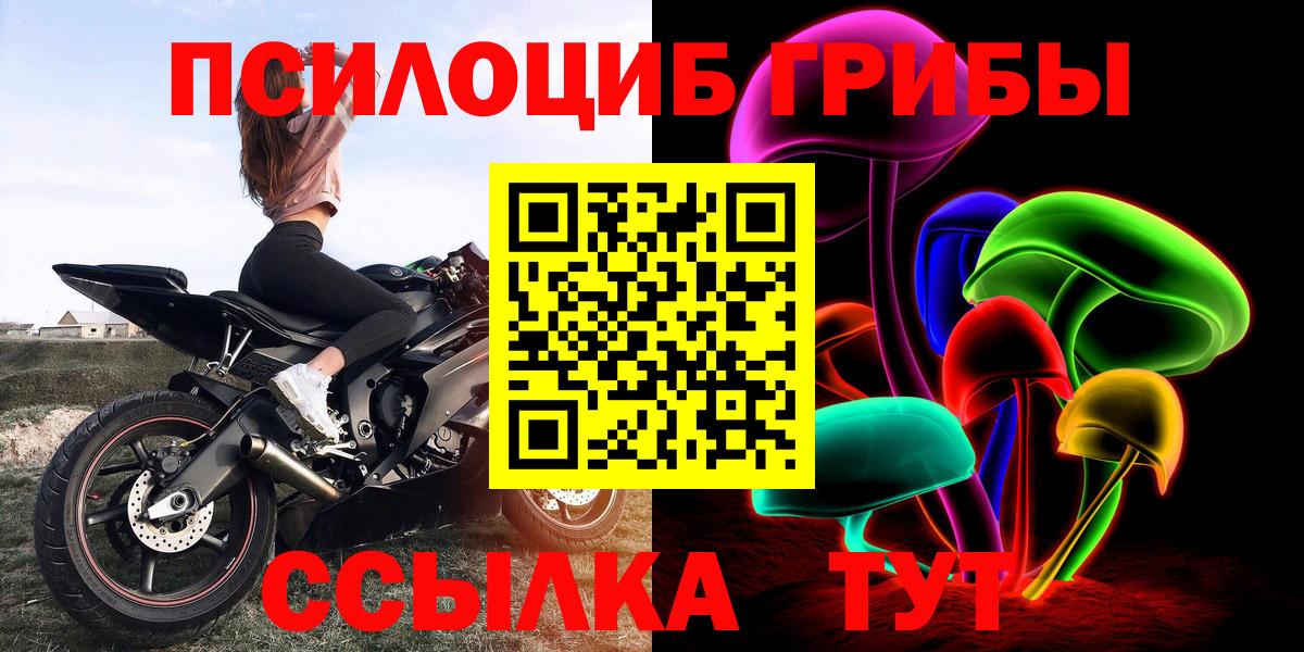 Псилоцибиновые грибы Psilocybe  Вход с VPN  купить наркоту  Отрадный 